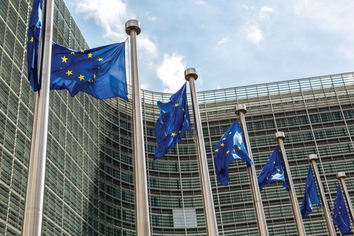 75936729_european_flags700